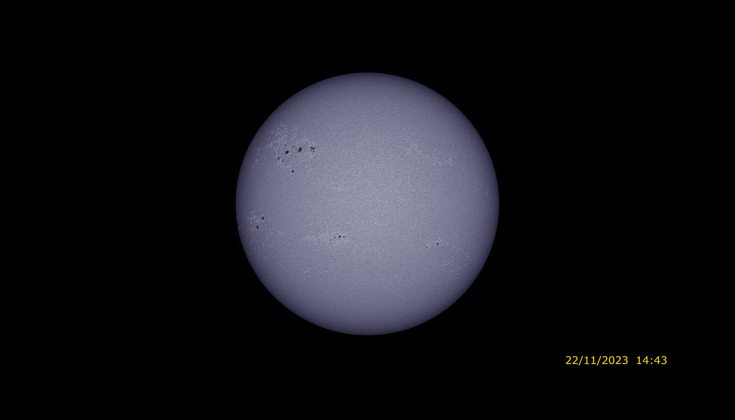 459 Full_cak_color.jpeg