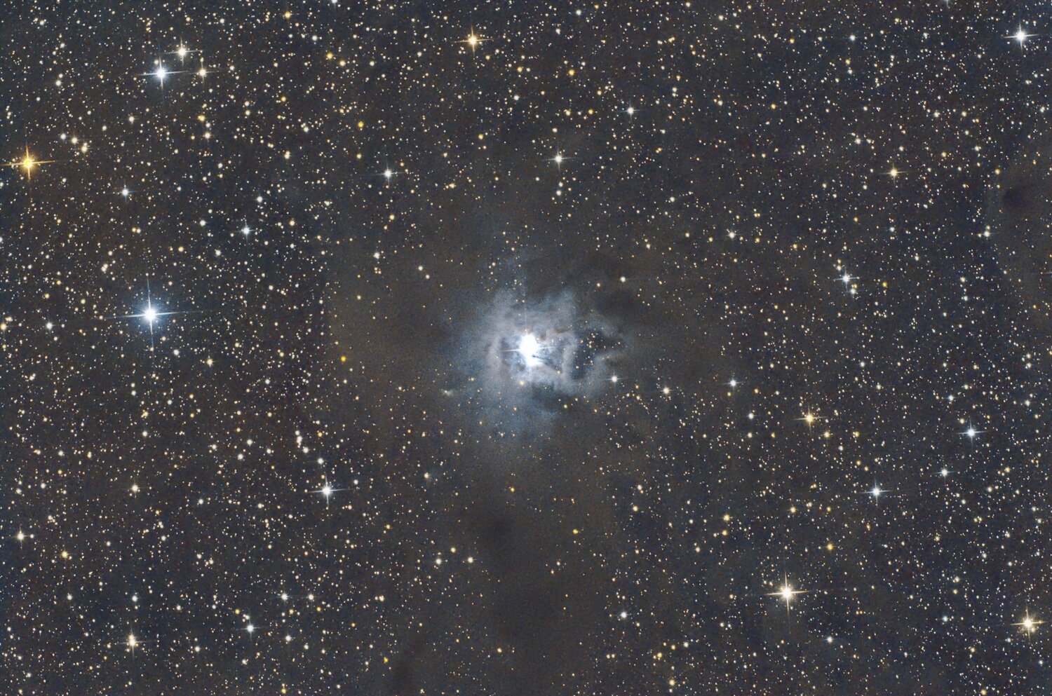 NGC7023 Iris_GG.jpg