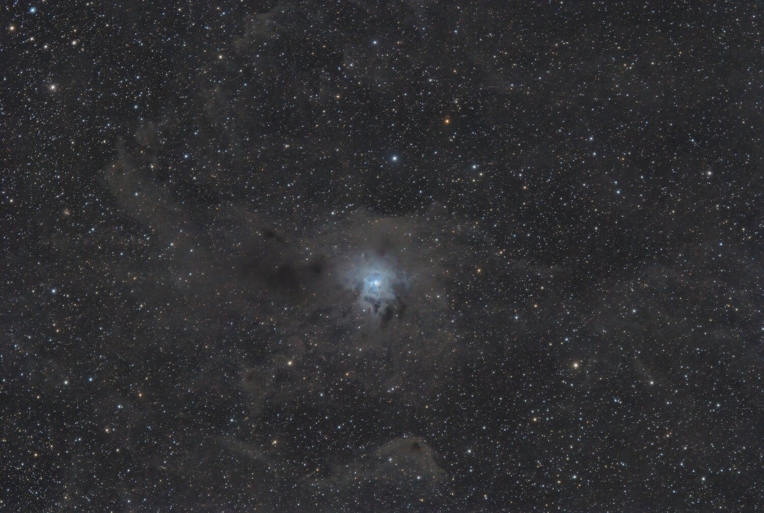 NGC7023_780i_stacked-v2.thumb.jpg.d67489051b16b518bc1632cf2133913f.jpg