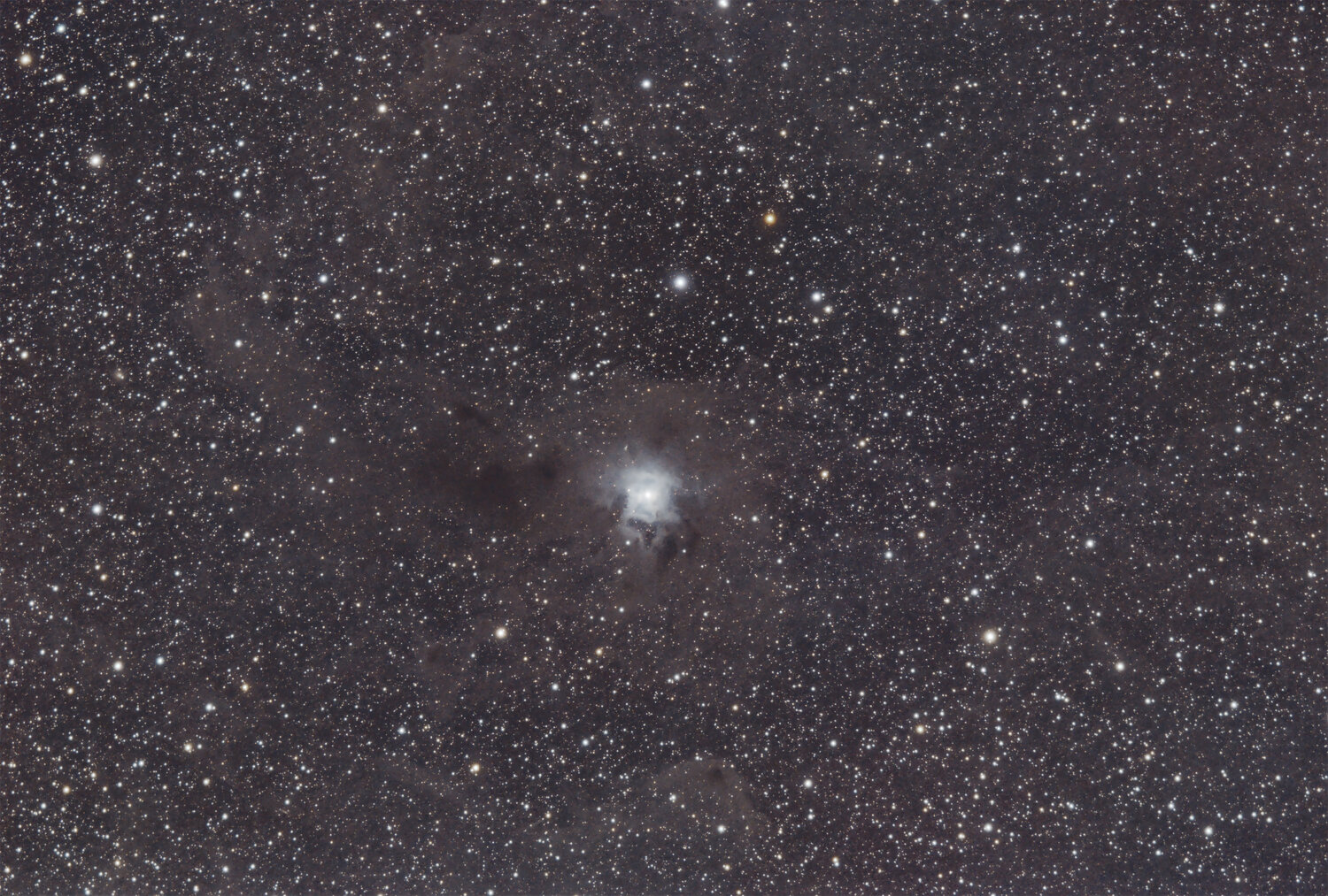 NGC7023_780i_v2-gimp.thumb.jpg.1e667d1ef0663ca8bf7e3a0642ed92b2.jpg