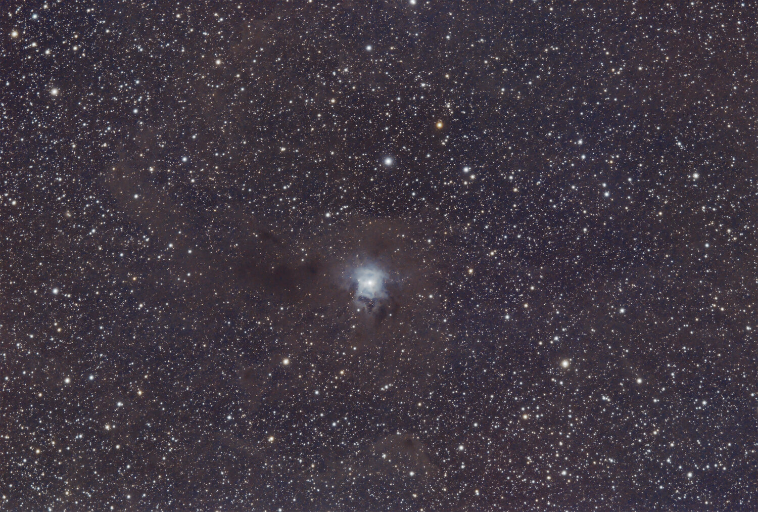 NGC7023_780i_v2-gimpv2.thumb.jpg.7b751747ff69e235a4865f6828f03aaa.jpg
