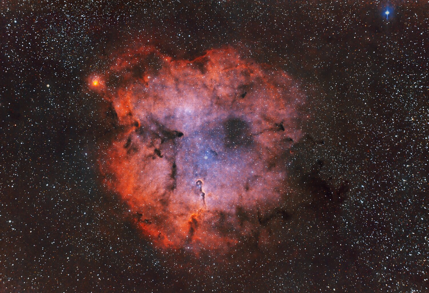 ic1393_2.thumb.jpg.17e10eb22885b6c1dbbf5d1d93138d58.jpg
