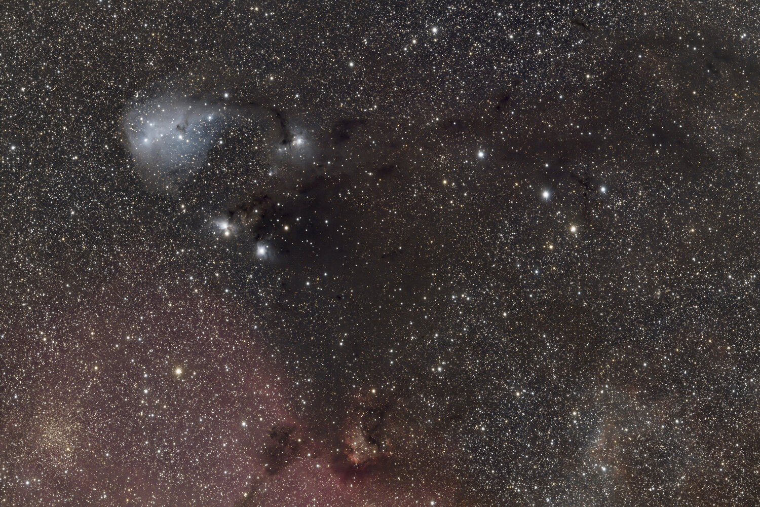 Ic2169.jpg