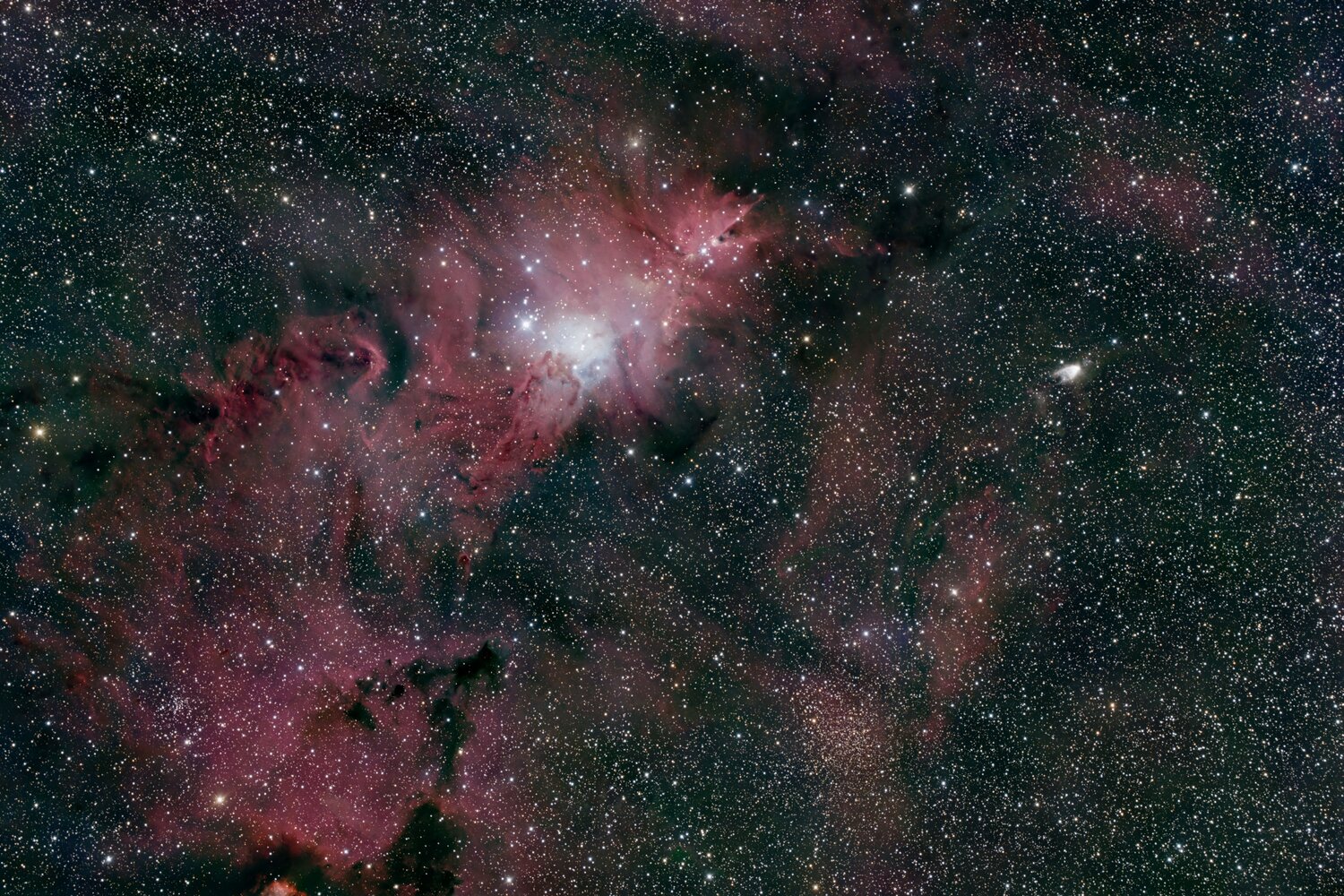NGC2264.thumb.jpg.199063f4bed3c945e3a536a464e9b1df.jpg