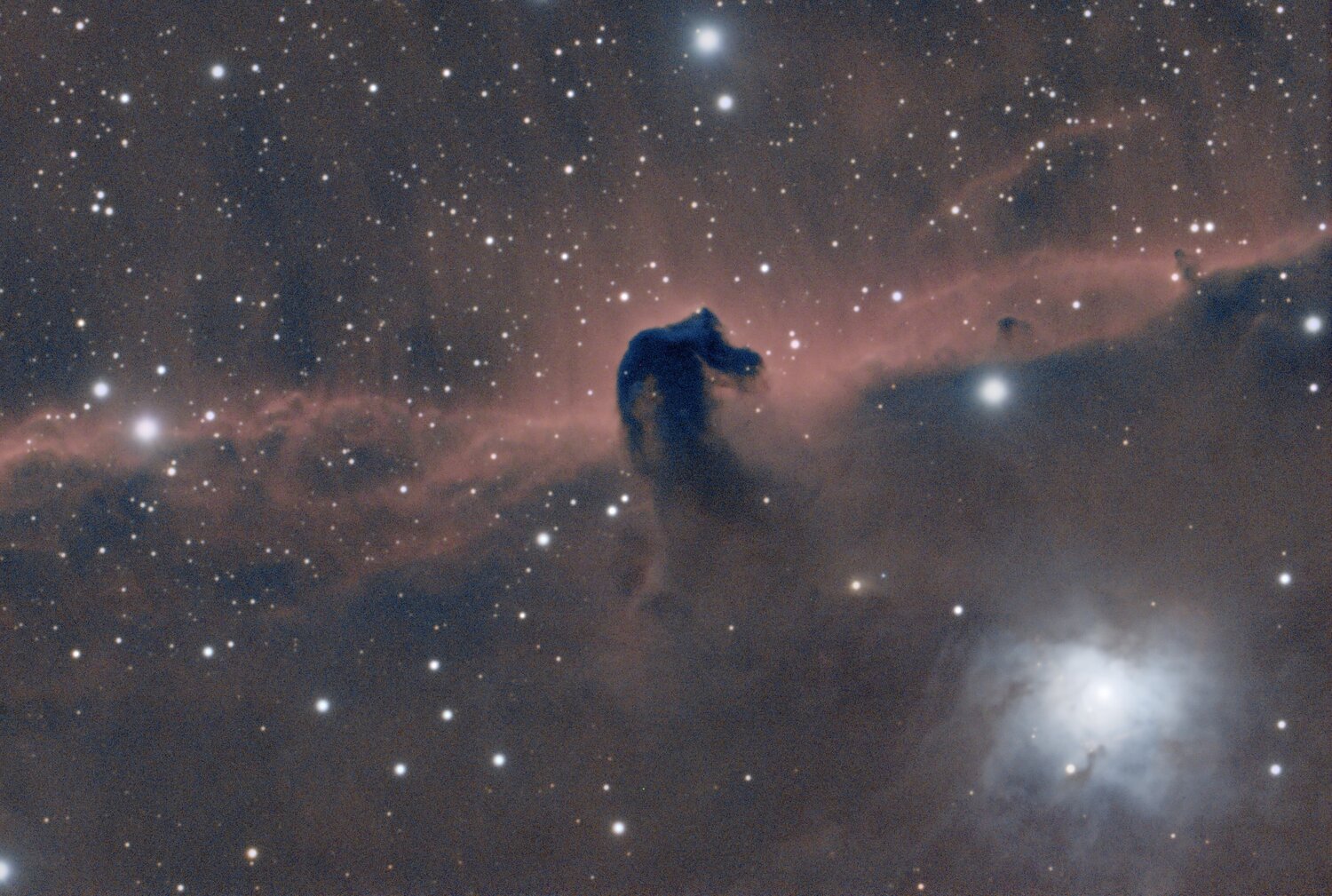 IC434 - gain 120 bin 1 - 148 x 120s - LPS-P2 - C9.25HD + red 0.7 - ASI294MC -bis.jpeg