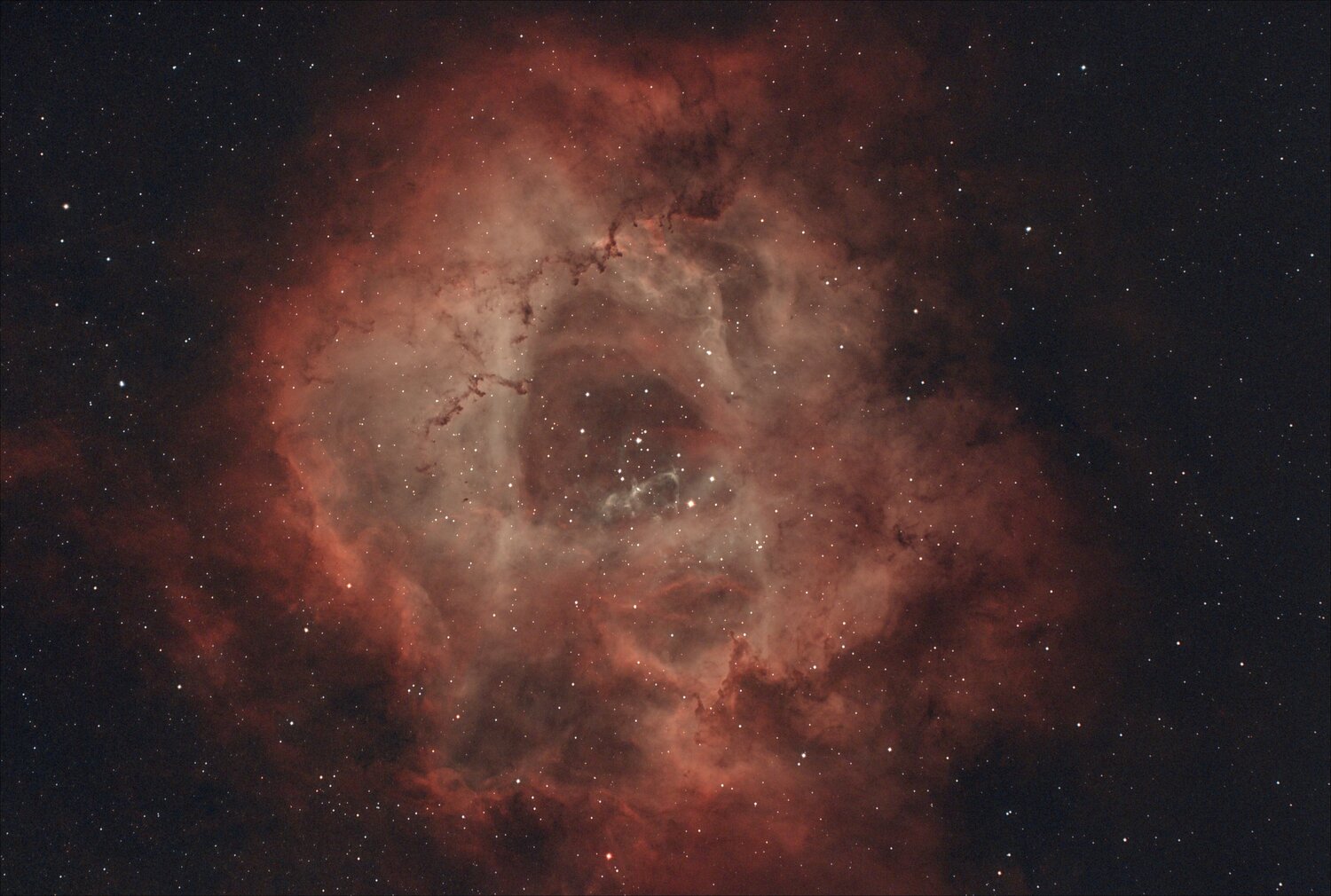 NGC2237 - la rosette - gain 120 bin1 - 75 x 120s - NBZ - C9.25HD + hyperstar - ASI294MC 2.jpg