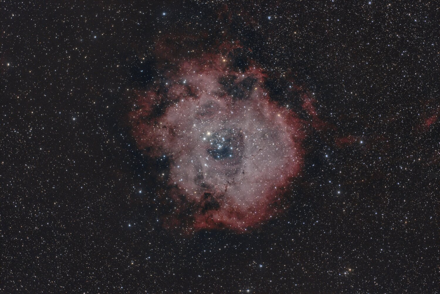 NGC_2244_RGB_20240111a_V4_traitement_V2b_starnet_V2_L6000px.thumb.jpg.10e4380b37be1879231bc6a54aa62958.jpg