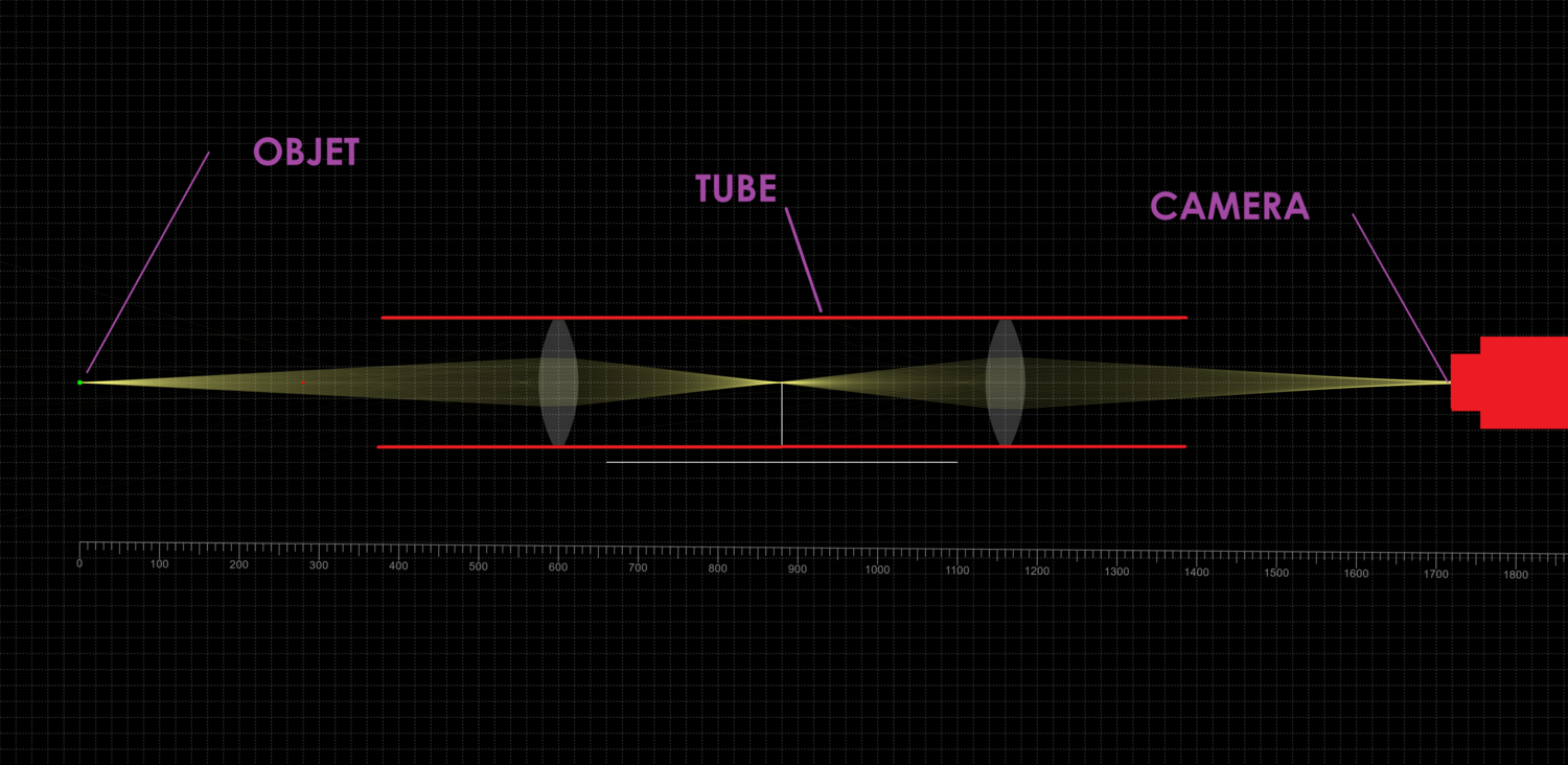système déportation vision simulation.png