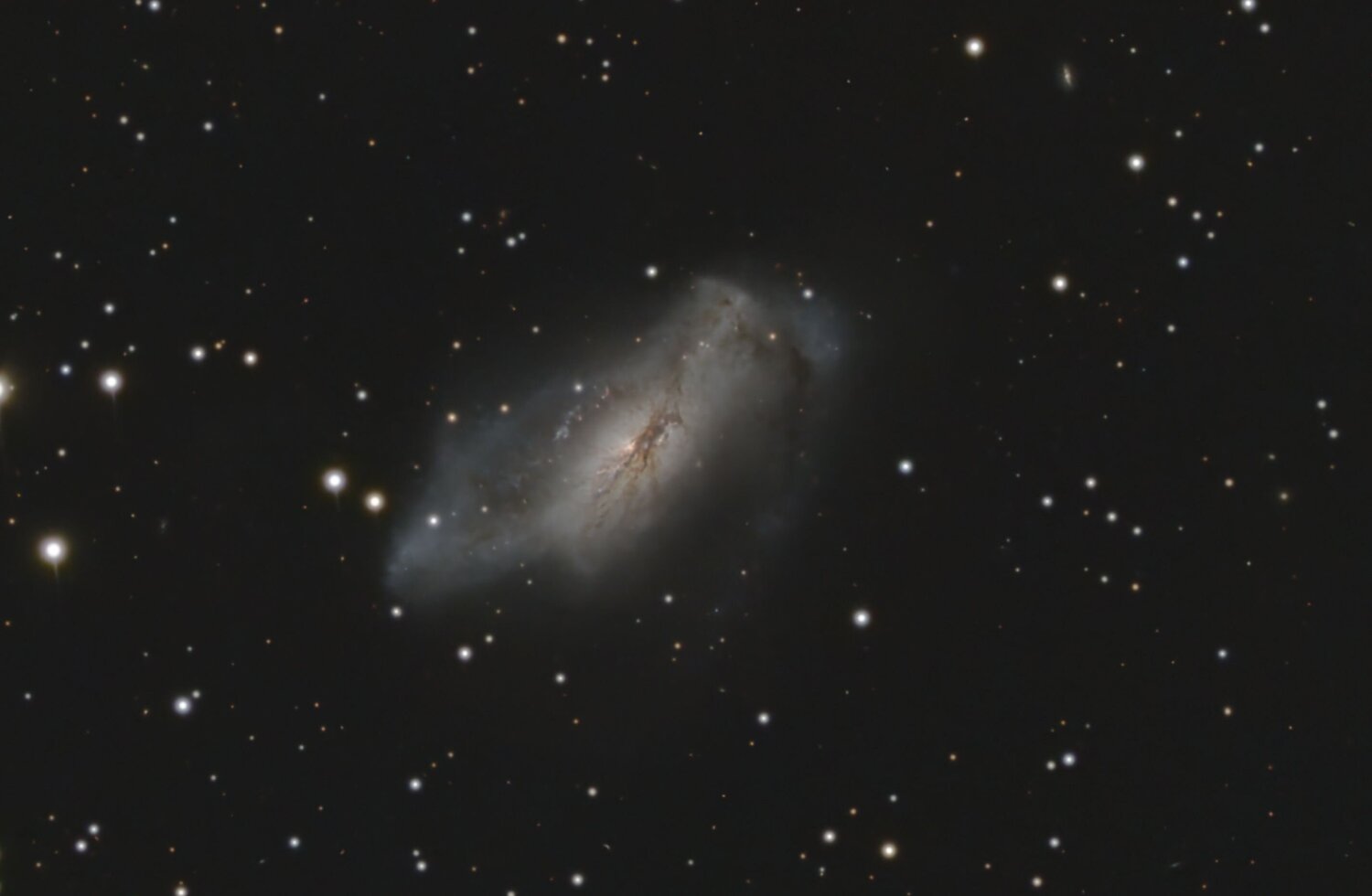 NGC2146_crop.thumb.jpg.dd8a25c94af7f97ef16a47fcadbdaf9d.jpg