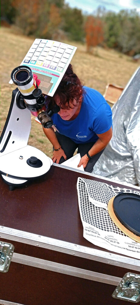 Dominique Riva 08.jpg