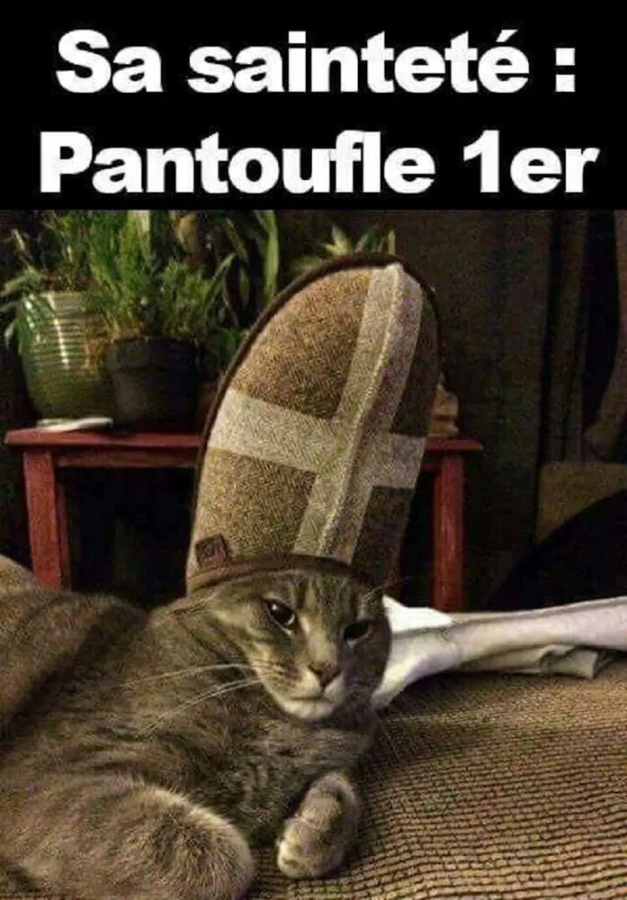 Sa-saintet-Pantoufle-1er.thumb.jpg.beb20b2431d7c1c714c2d440b7b37be6.jpg
