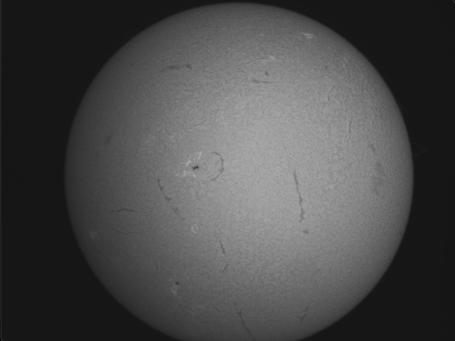 Corps photo 3 - pour poster.jpg