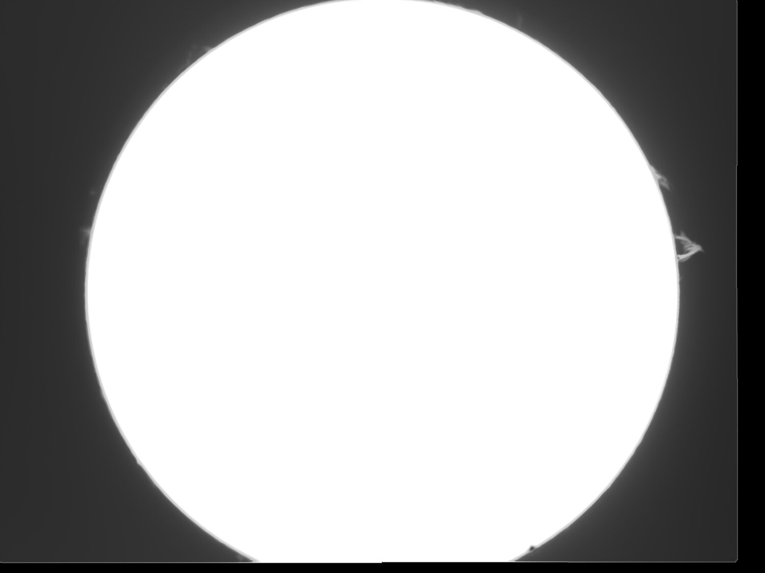 Couronne photo 3 Nb - pour poster.jpg