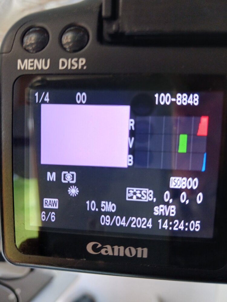 ISO 100 1 QUART S.jpg