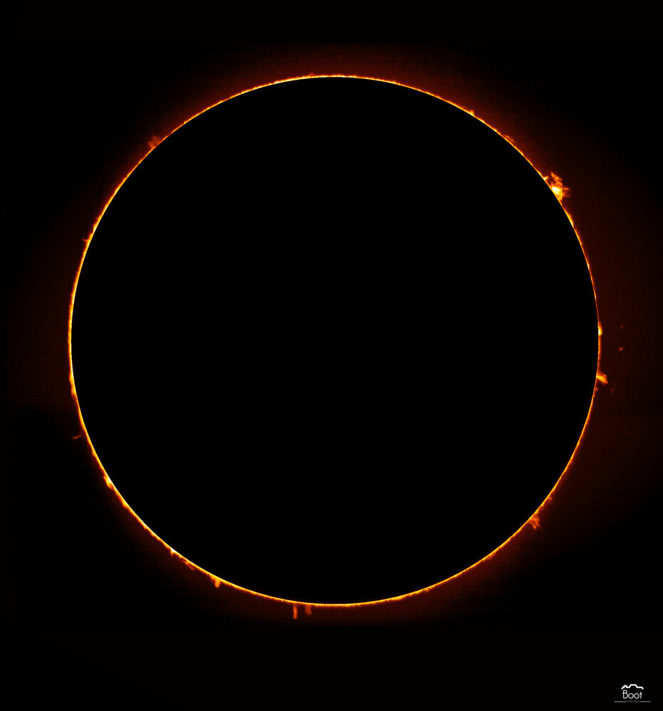 sun full protus.jpeg