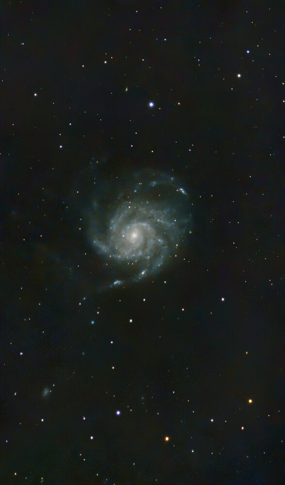M101-1.jpg