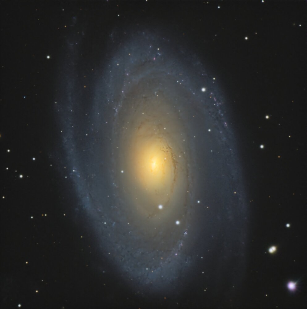 M81-resultat_stacked-finale.thumb.jpg.1b6f1330f25e8841e189d2e4ccc269c2.jpg