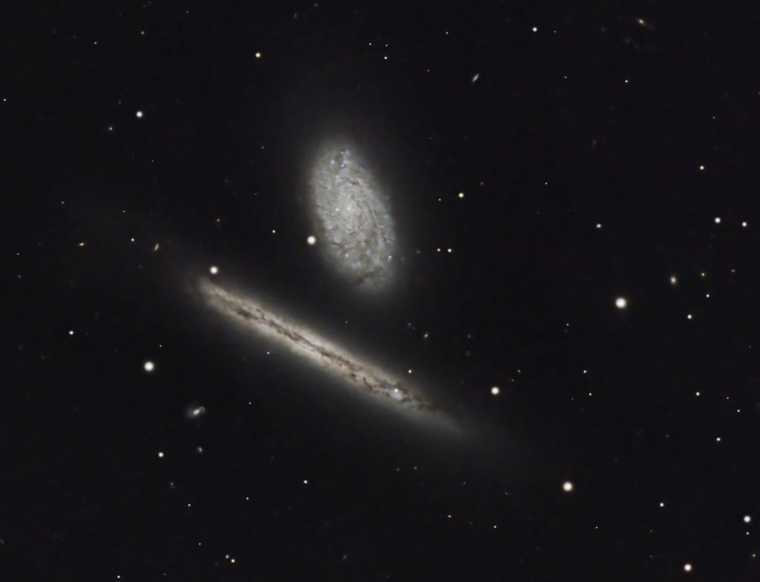 NGC4302Crop.thumb.jpg.4261c056bf8b4b19fa5704c9a963a4a2.jpg