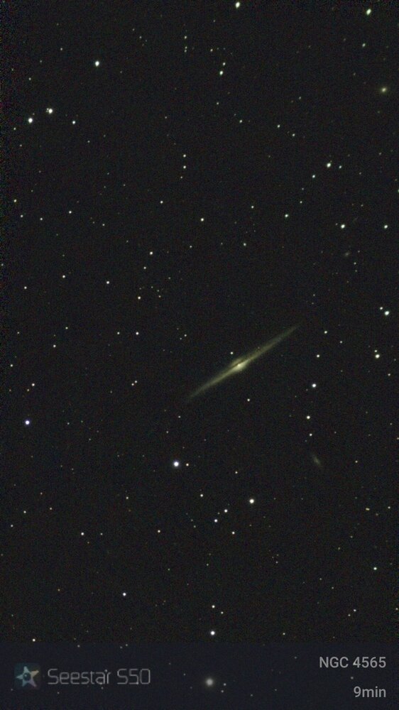NGC 4565.jpg