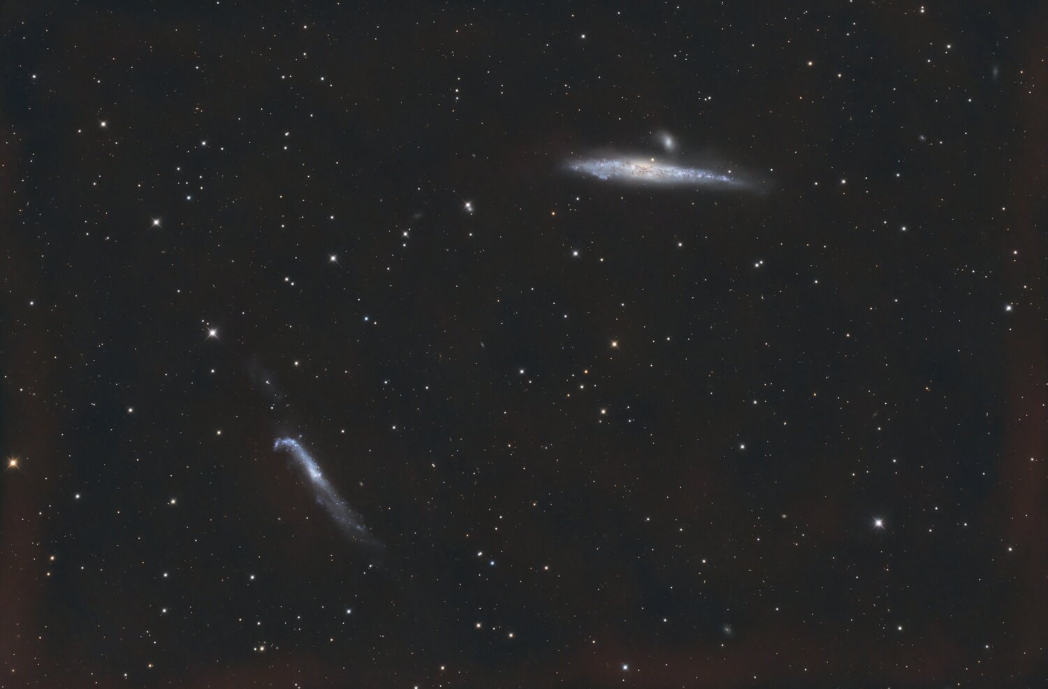 ngc4656.thumb.jpg.9f8d93afbdeeafc1a69c4b0b684868cf.jpg