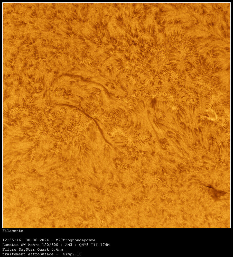 Filaments_240630_125546-Ha.thumb.jpg.28785b1554d86ba38c999df173dc3f07.jpg