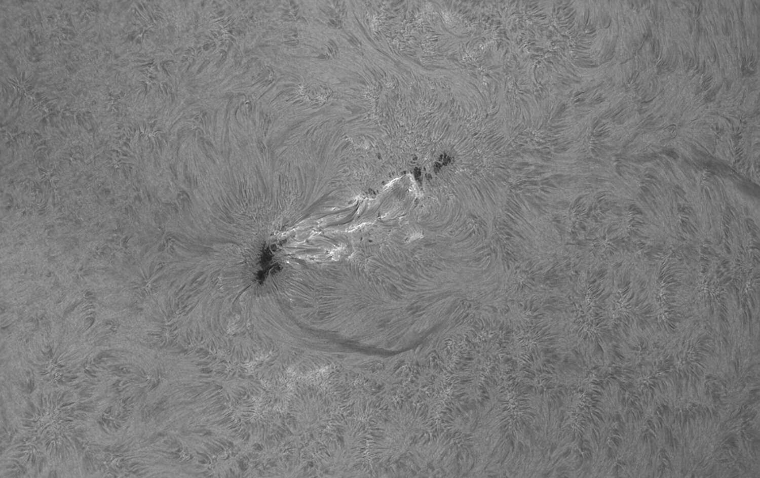 2024-07-09-0845_1-U-L-Sun_Halpha_Gain=50_Exposure=3.7ms_1_lapl2_ap6548.jpg