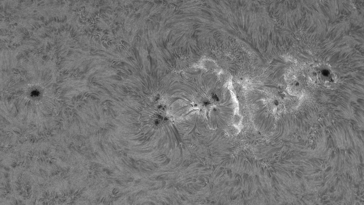 2024-07-22-0833_3-U-L-Sun_Halpha_Gain=121_Exposure=1.9ms_118_lapl2_ap6638.jpg
