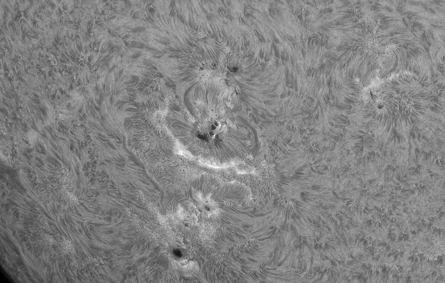 2024-07-23-0843_8-U-L-Sun_Halpha_Gain=100_Exposure=2.3ms_118_lapl2_ap6758.jpg