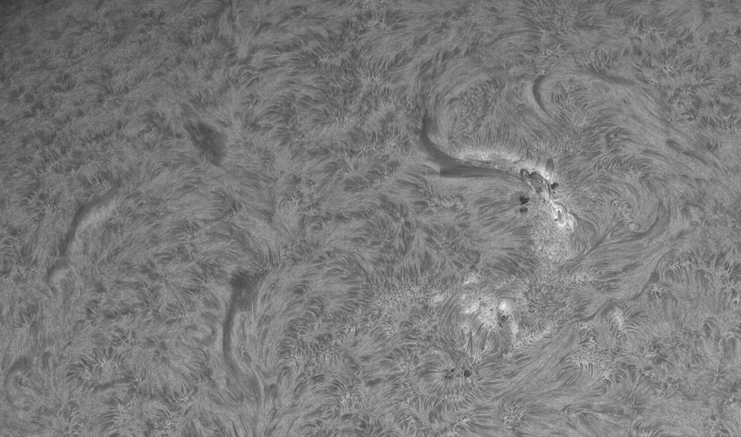 2024-07-23-0856_2-U-L-Sun_Halpha_Gain=100_Exposure=2.3ms_120_lapl2_ap6891.jpg