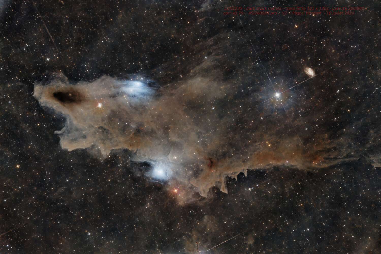 20240710_LDN1235_shark_nebula.thumb.jpg.a61c1edbf751b4bbfa5c91508b78d8cf.jpg