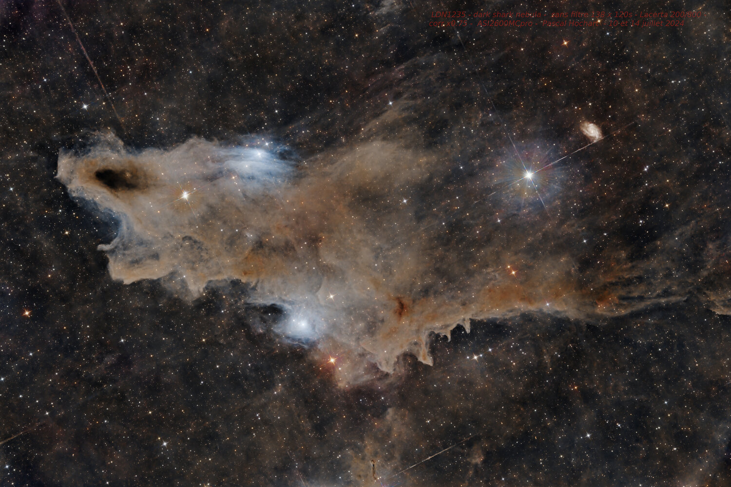 20240714_LDN1235_shark_nebula.thumb.jpg.6ebe829ce2d2a0652914f28039997823.jpg