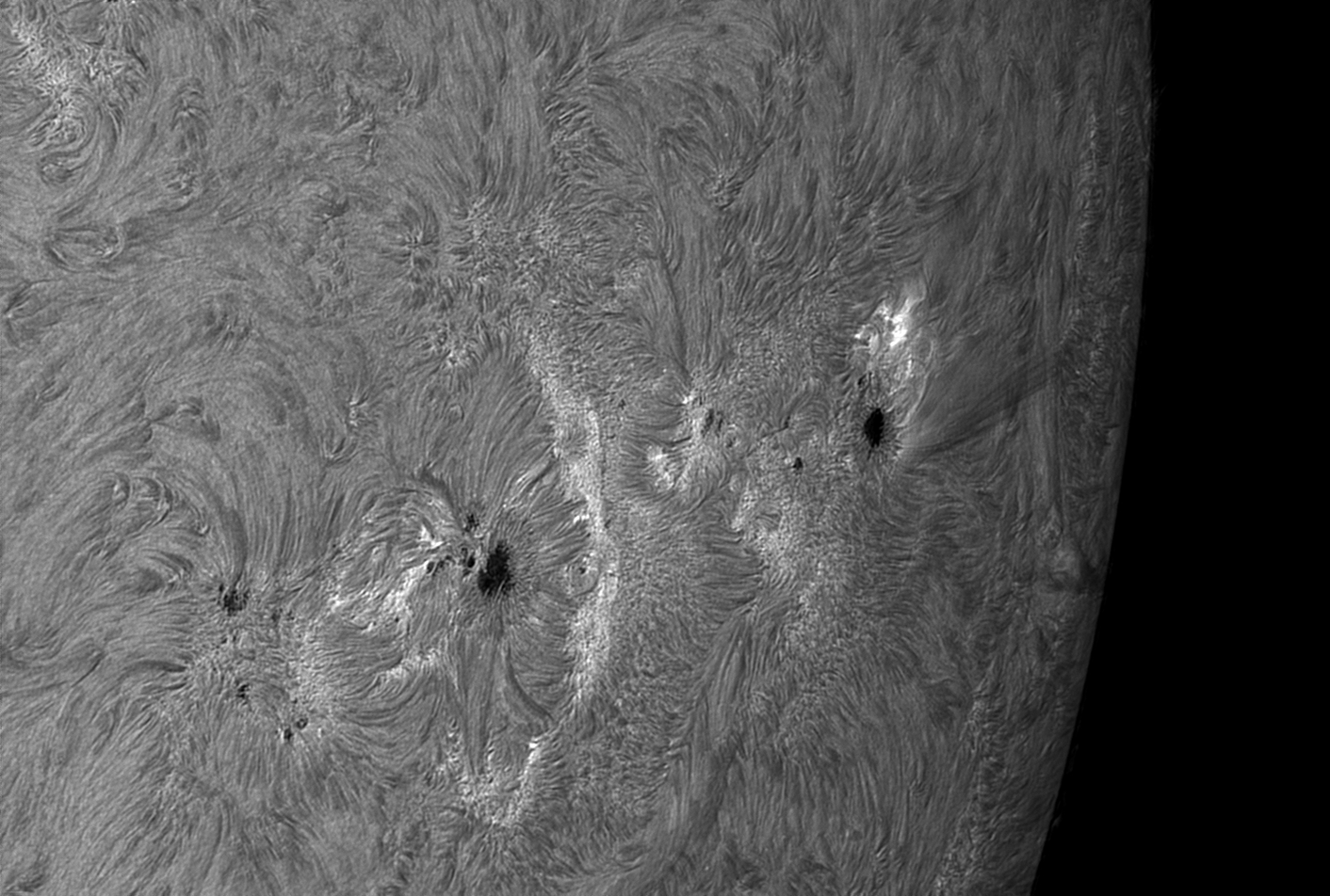 20240724 anim normalisé.gif