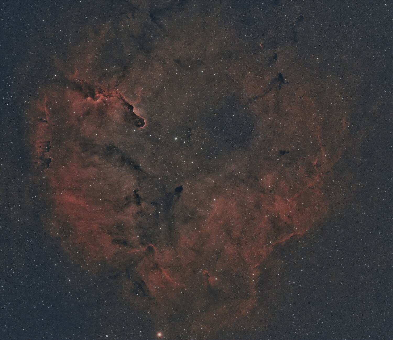 IC139623-7-2024.thumb.jpg.d4eac23655cbe6c847a53c271e6bf317.jpg