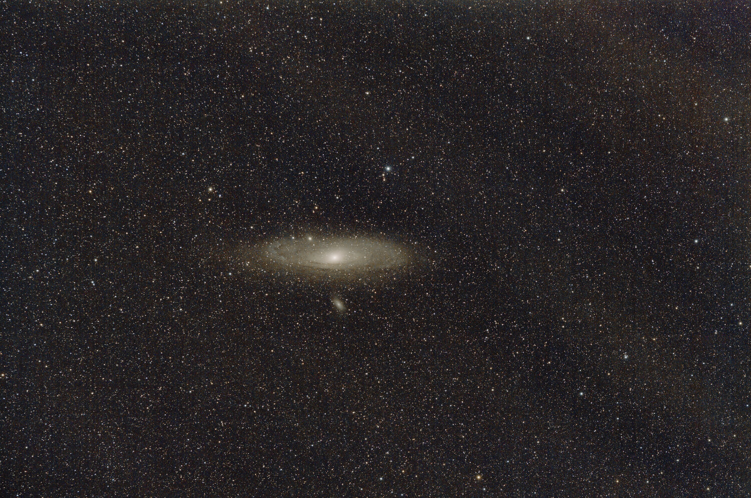 M31_GraXpert_processed_siril_gimp2.thumb.jpg.8b428b4e58bd5a131da7d4b275301078.jpg