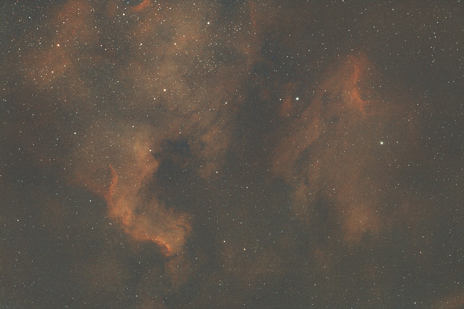 Résultat filtre l extrem pelican americabis.jpg