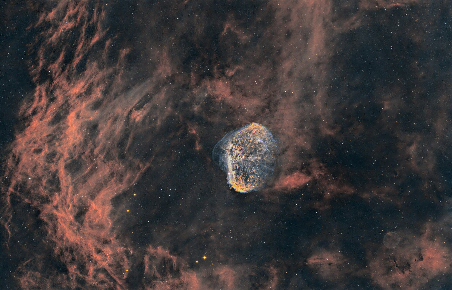 ngc6888.thumb.jpg.8aa99aa423f1b8b2dfc83a950a1fc134.jpg