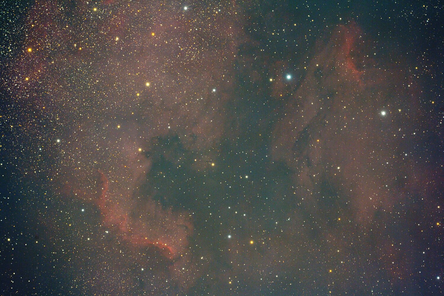 pelican america sans filtre.jpg