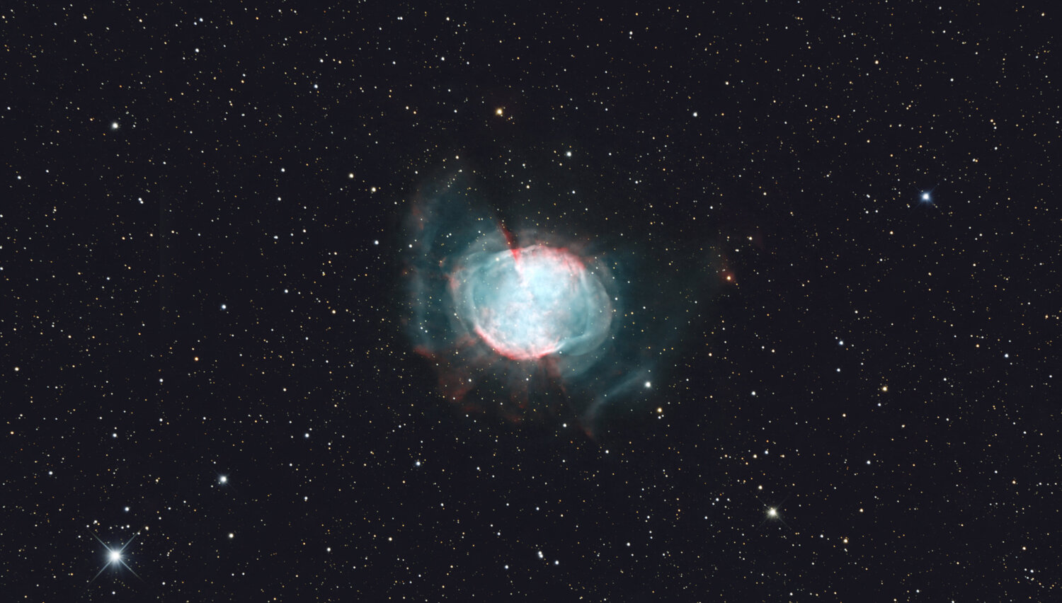 M2733x5minstarred2.thumb.jpg.6e2e0a4f7c29875d9cafb66e84677d29.jpg