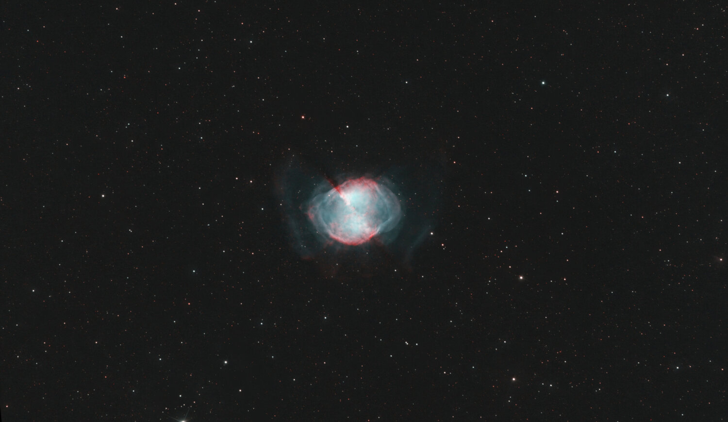 M2739x5mincrop.thumb.jpg.820a46a188120c75202378ec3f716f71.jpg