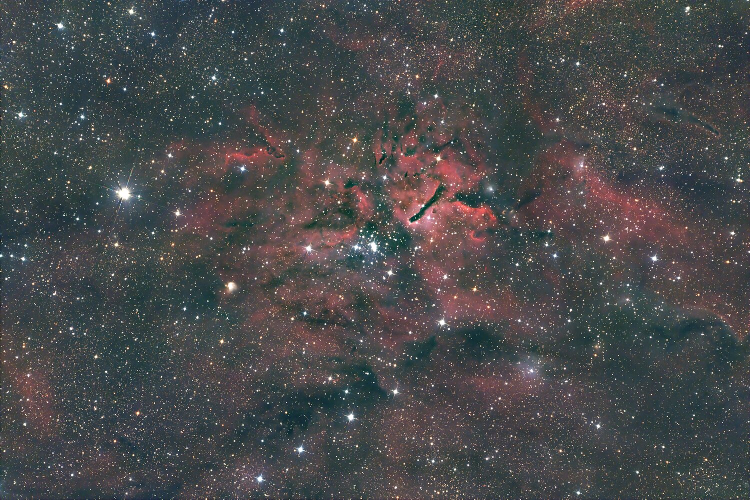 NGC6823.thumb.jpg.2aac81988623650058758d2ff45a76cf.jpg