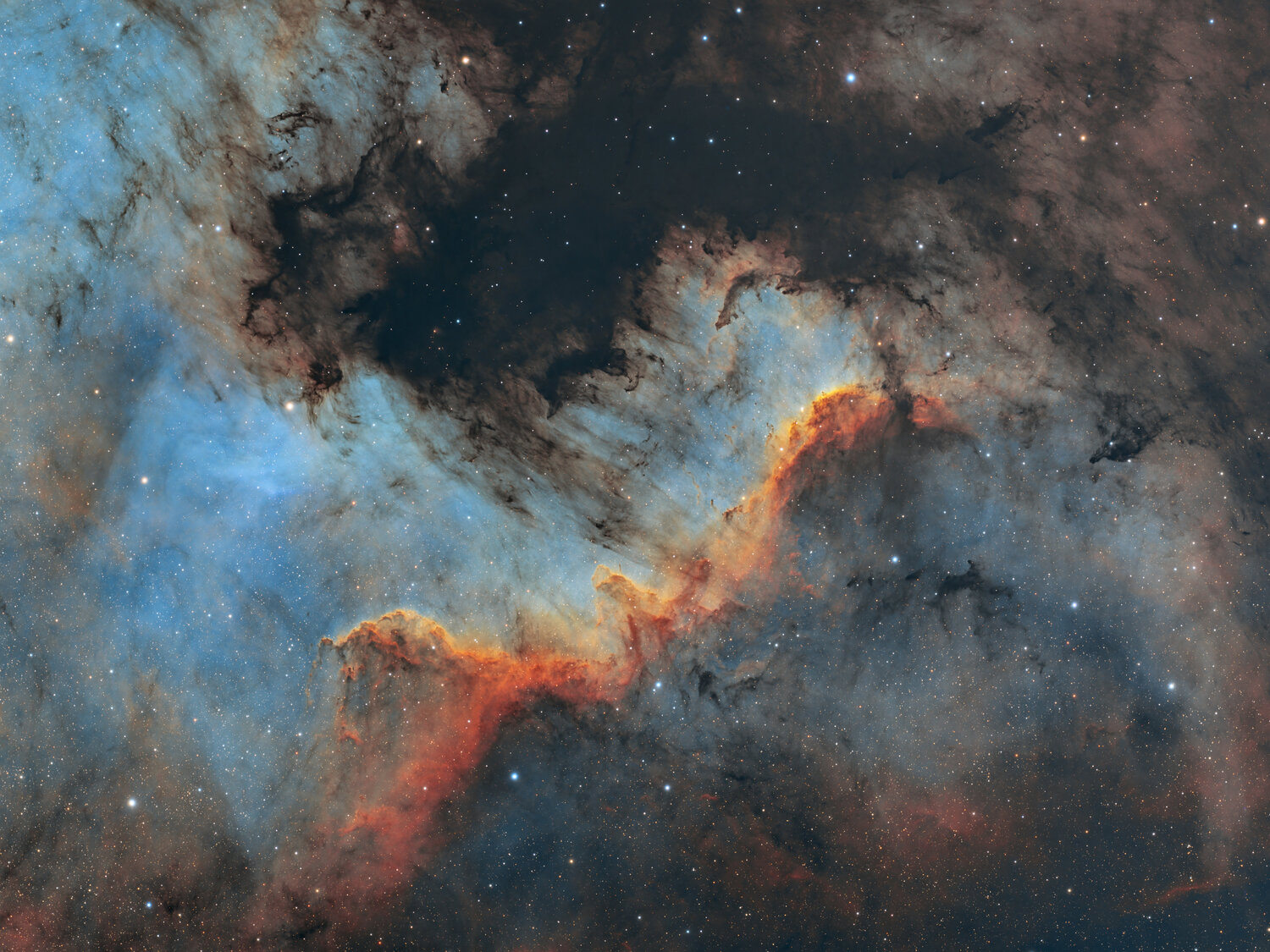 NGC7000.thumb.jpg.21e1dc0d9f494ad76245e02ac6643a98.jpg