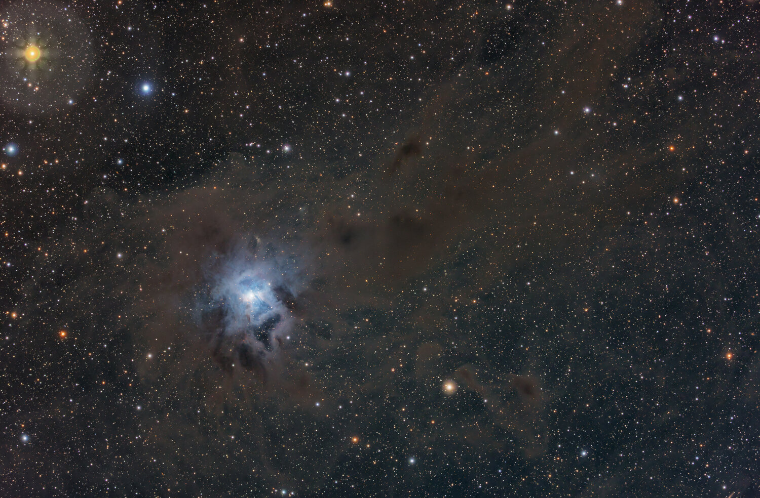 NGC7023_final.thumb.jpeg.83d59fd193299ed4c77862236d739767.jpeg