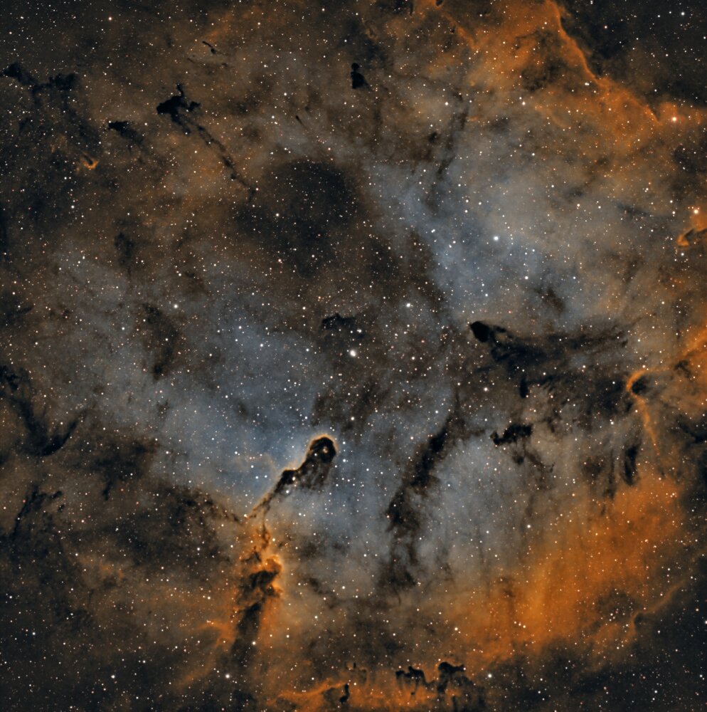 IC1396V5.thumb.jpg.f810a49755e80206ede6f59875ff92f0.jpg