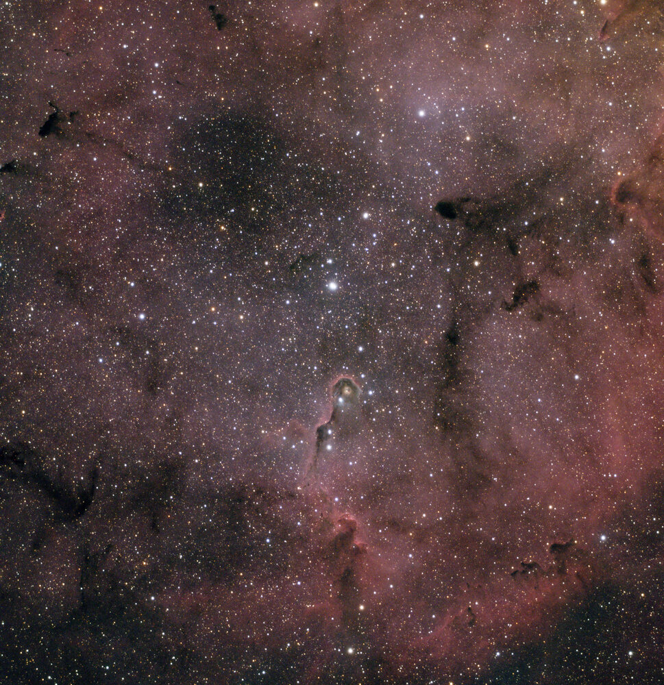 IC1396_V3.thumb.jpg.549b10fd9d5730762efb53a857832b20.jpg
