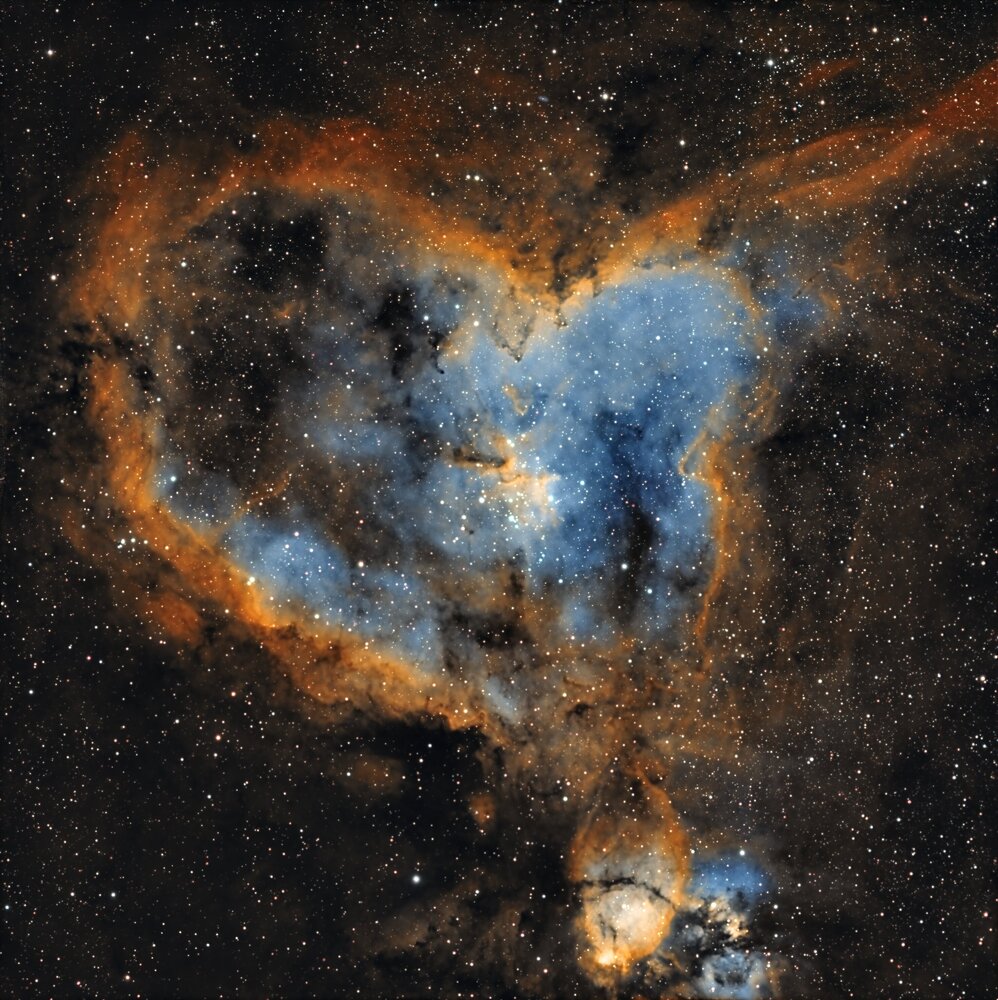 IC1805280MM.thumb.jpg.828c6262b3d1aad61b54e07db1ecfa91.jpg