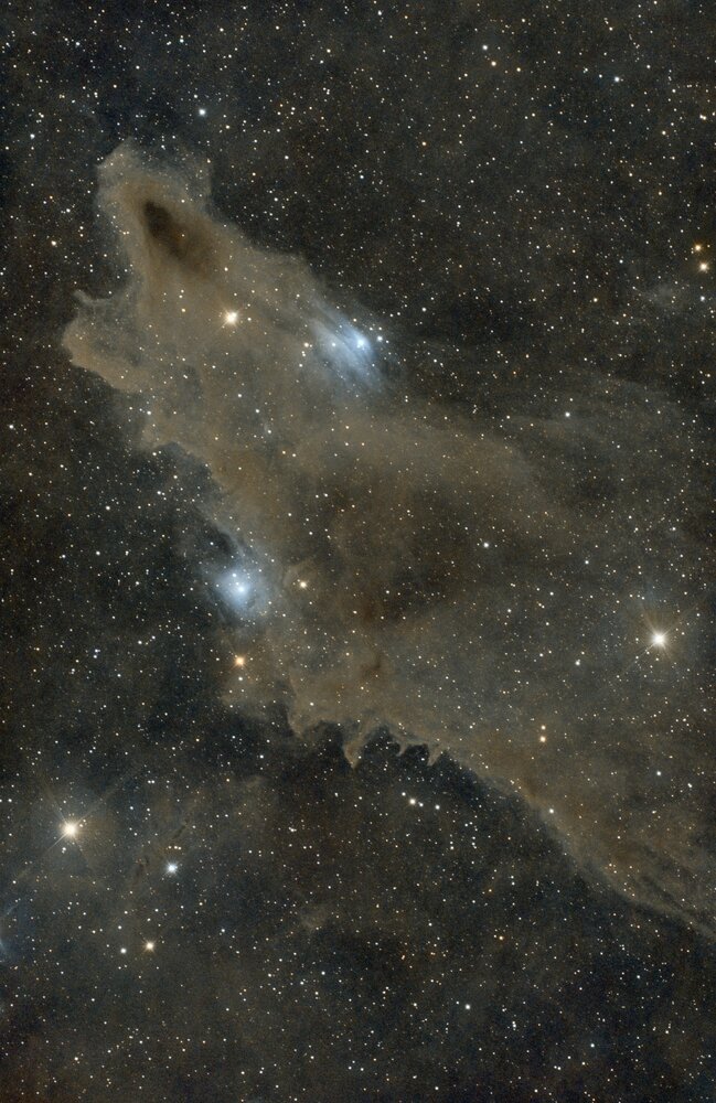 LDN1235 - gain 120 - bin 1 - 535 x 60 s - LPS-P2 - C9.25HD + Hyperstar - ASI294MC jaws v0.jpeg