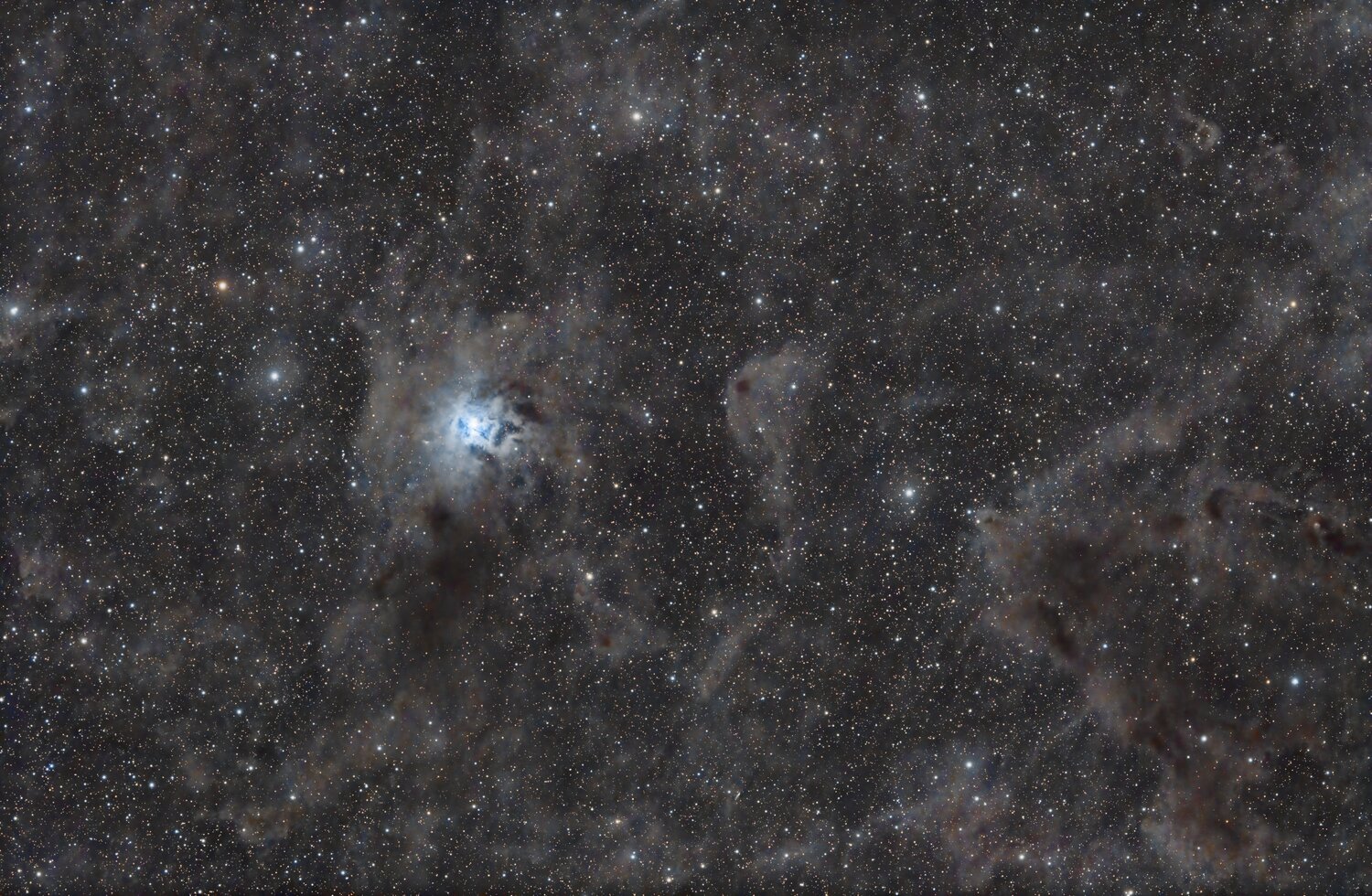 NGC7023RGB_39600sv1.thumb.jpg.96c6cc94ff0c4f10683e5241fecd6a06.jpg