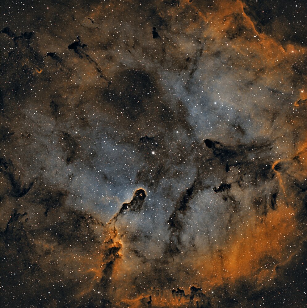 ic1396V6.thumb.jpg.7dcb667aa5013ef5e0e877ce88327e6b.jpg