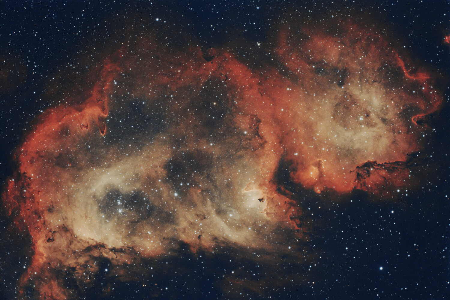 IC1848 2410204 (2).jpg