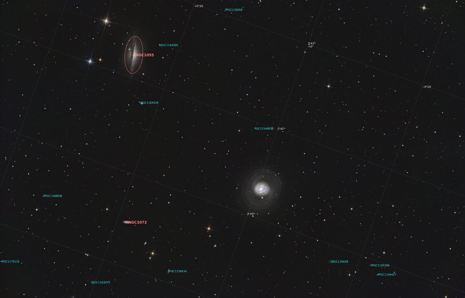 M77annotated.thumb.jpg.c63b34b2e66c6908066a4919d6d3e708.jpg
